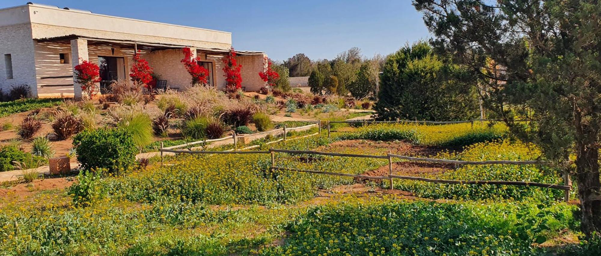 Le Clos De La Roussiere Esauira Exterior foto