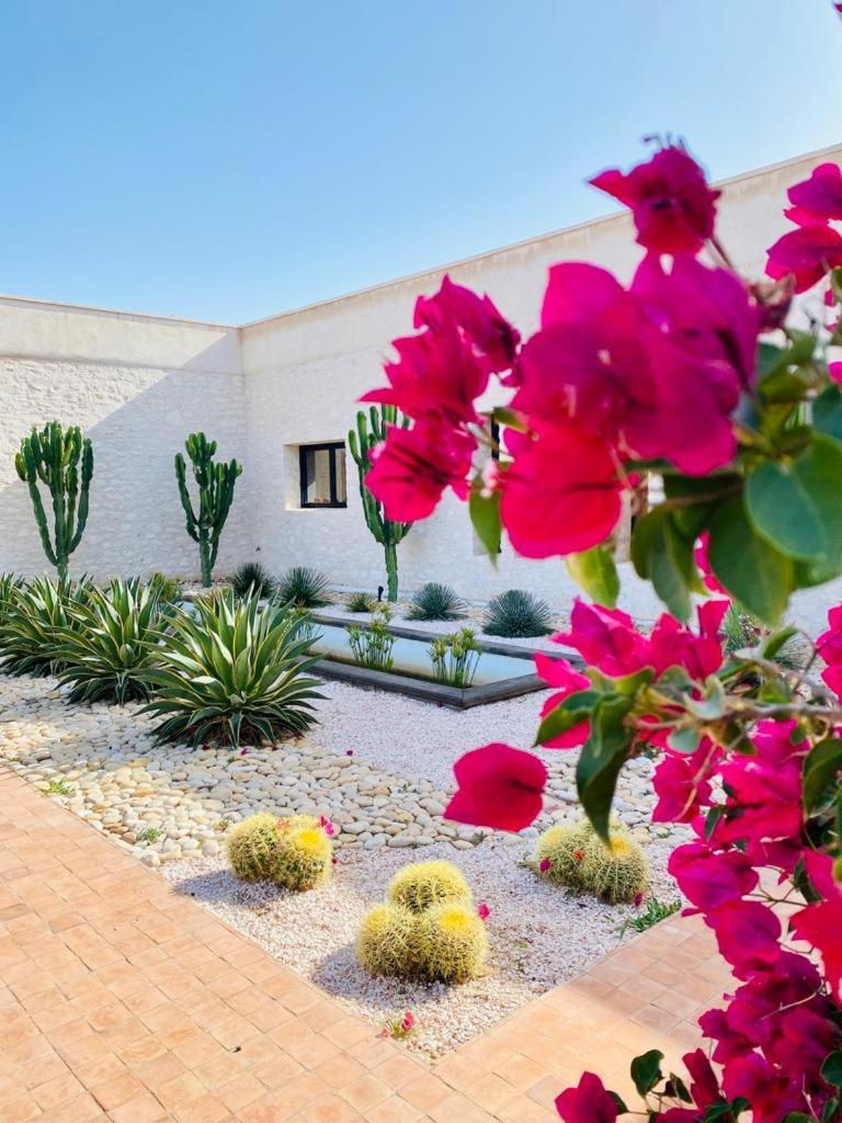 Le Clos De La Roussiere Esauira Exterior foto