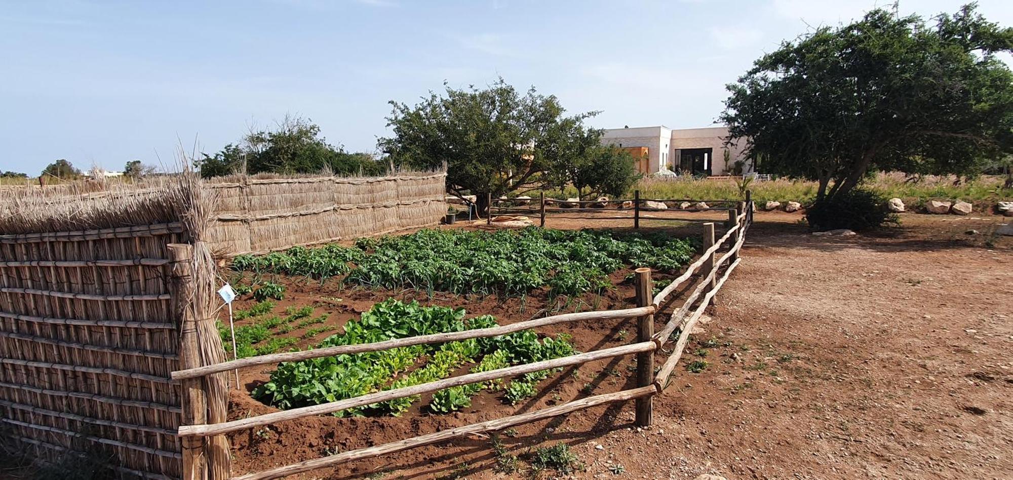 Le Clos De La Roussiere Esauira Exterior foto